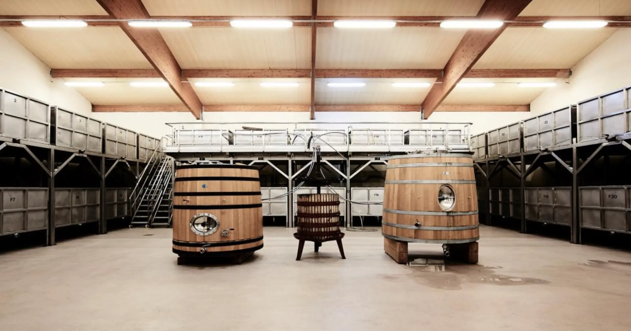 Bodega Viñas del Cenit